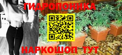 прущие грибы Назарово