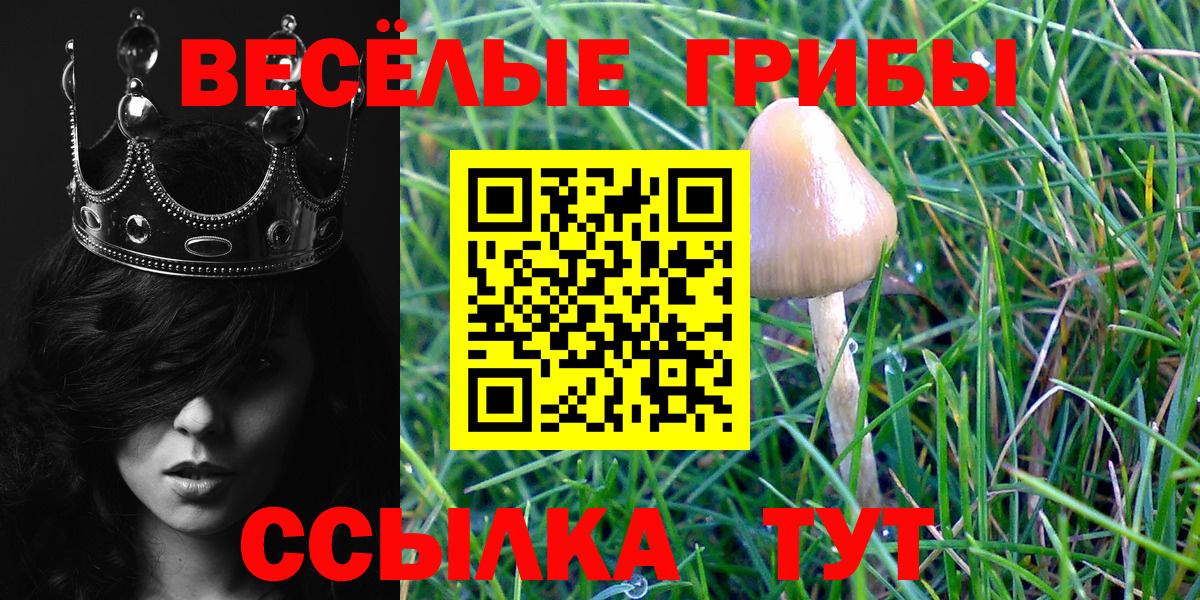 Галлюциногенные грибы Magic Shrooms Бор