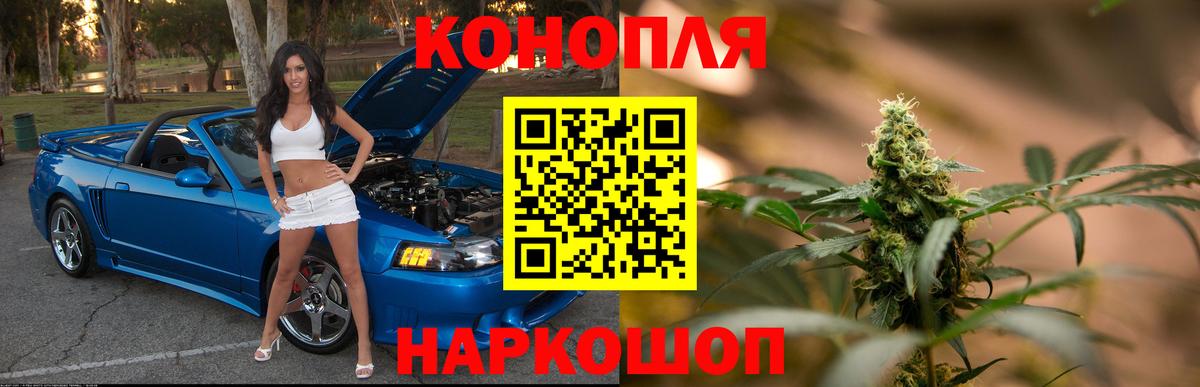 Бошки Шишки планчик Бор